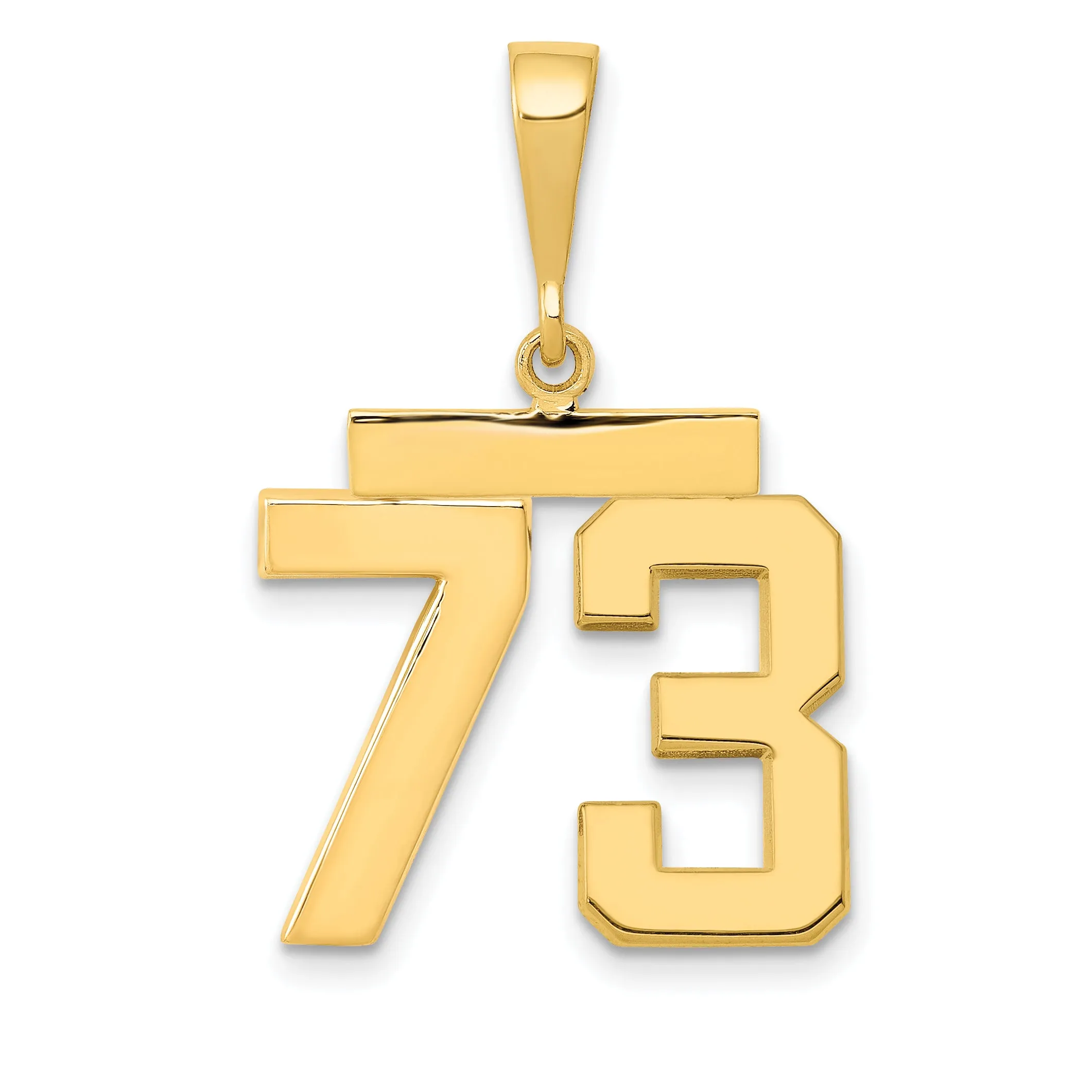 14k Yellow Gold Medium Polished Number 73 Charm