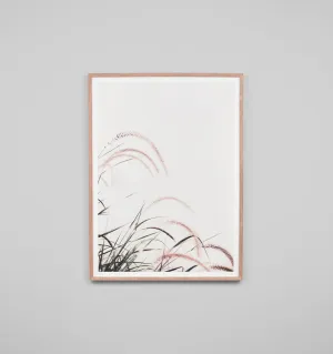 BLUSH GRASS BREEZE - FRAMED PRINT