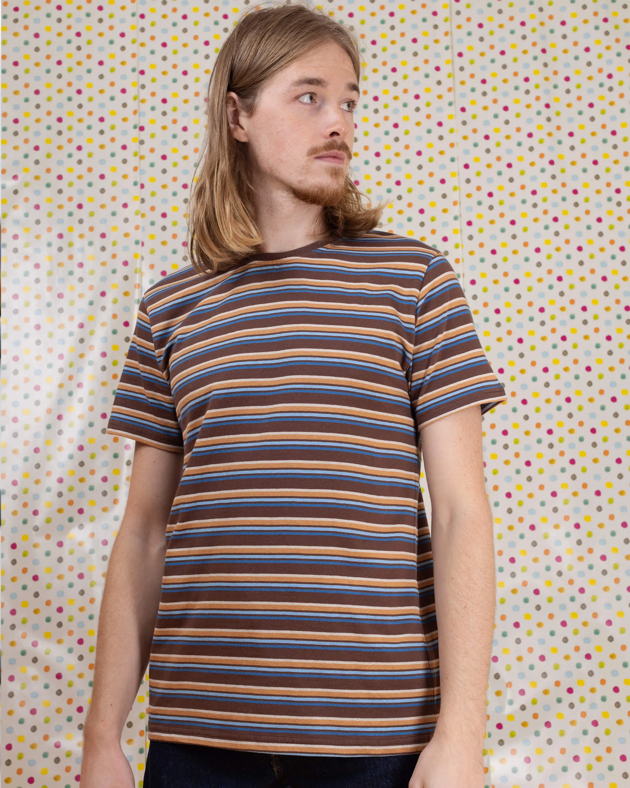 Brown Stripe Retro T Shirt