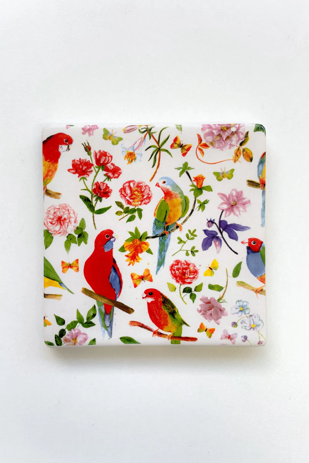 Ceramic Coasters - Parrot