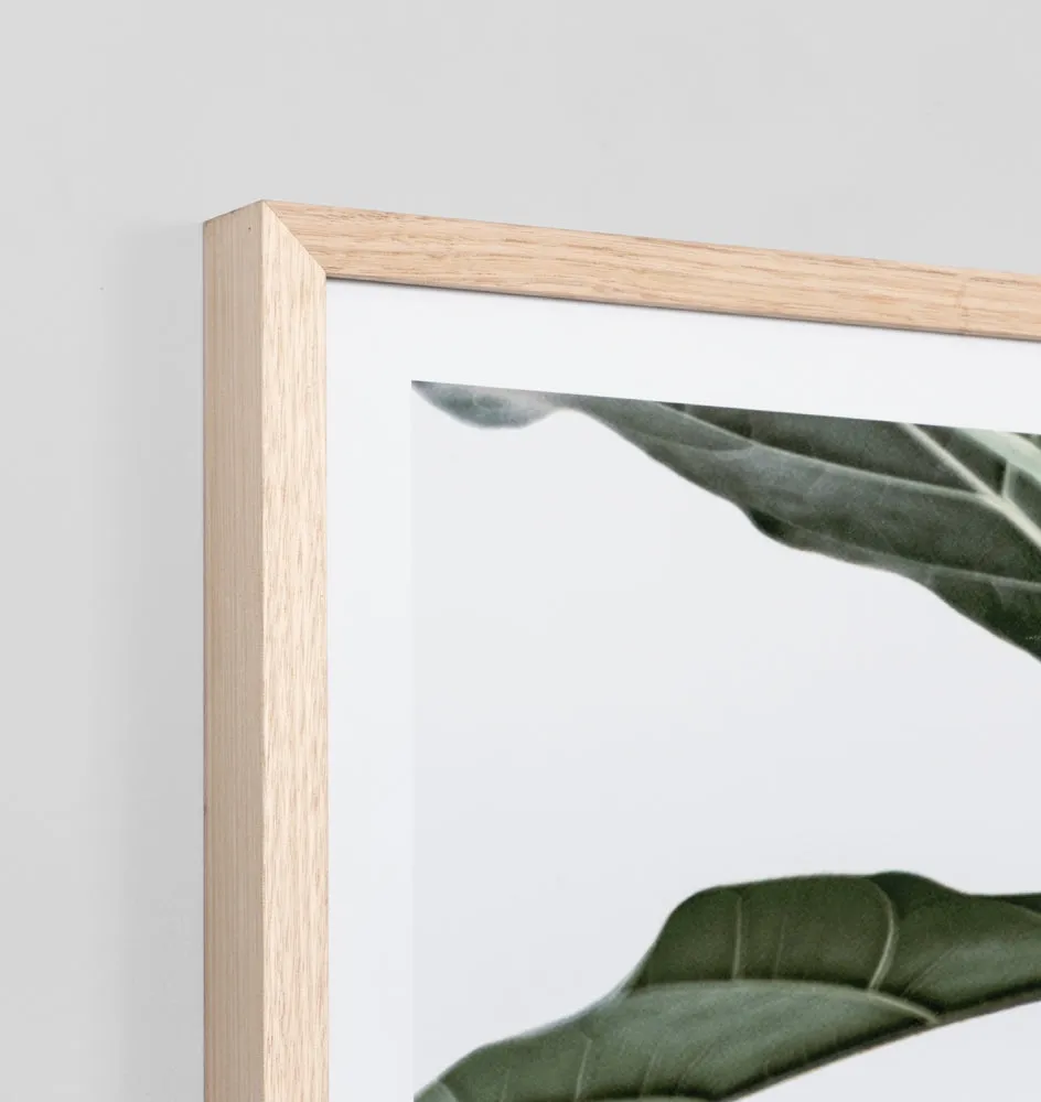 FIDDLE LEAF PORTRAIT | FRAMED PRINT