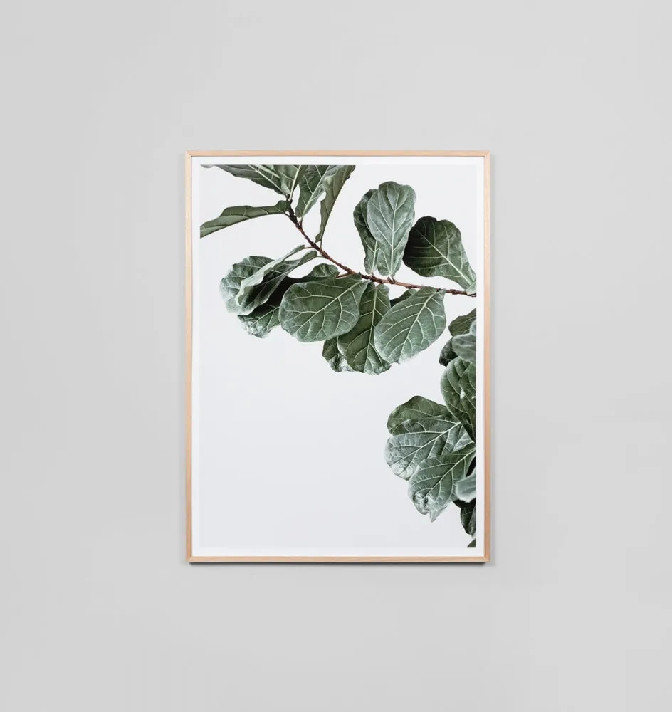 FIDDLE LEAF PORTRAIT | FRAMED PRINT