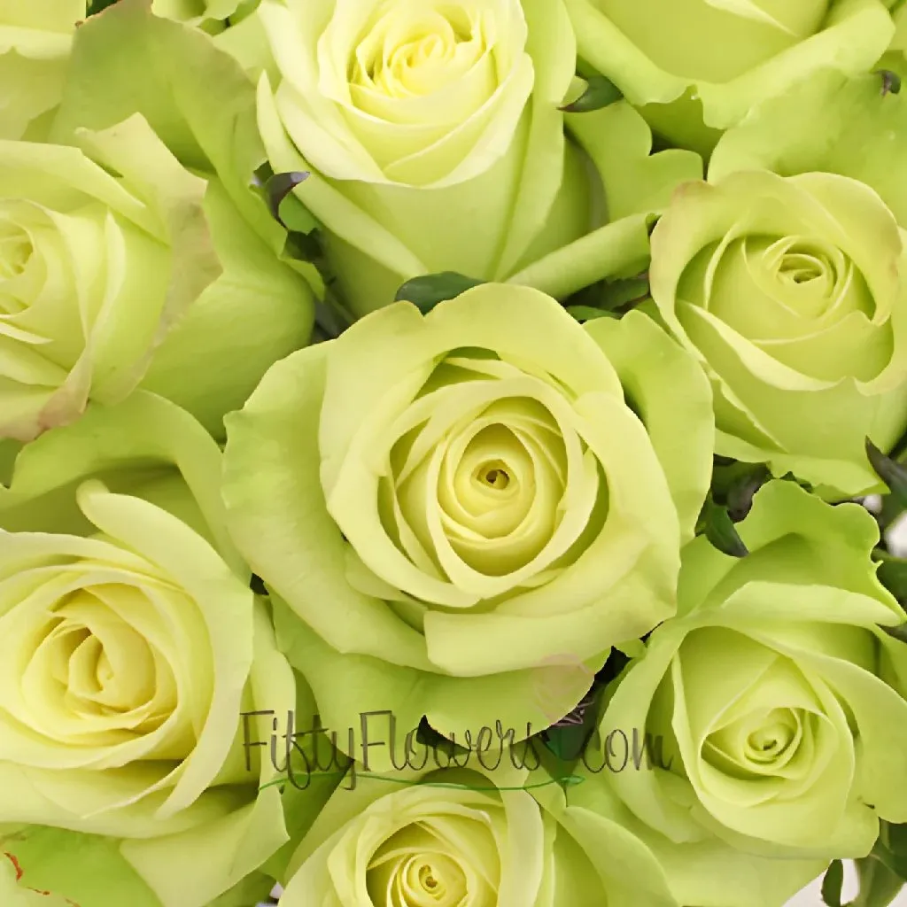 Jade Green Bulk Rose