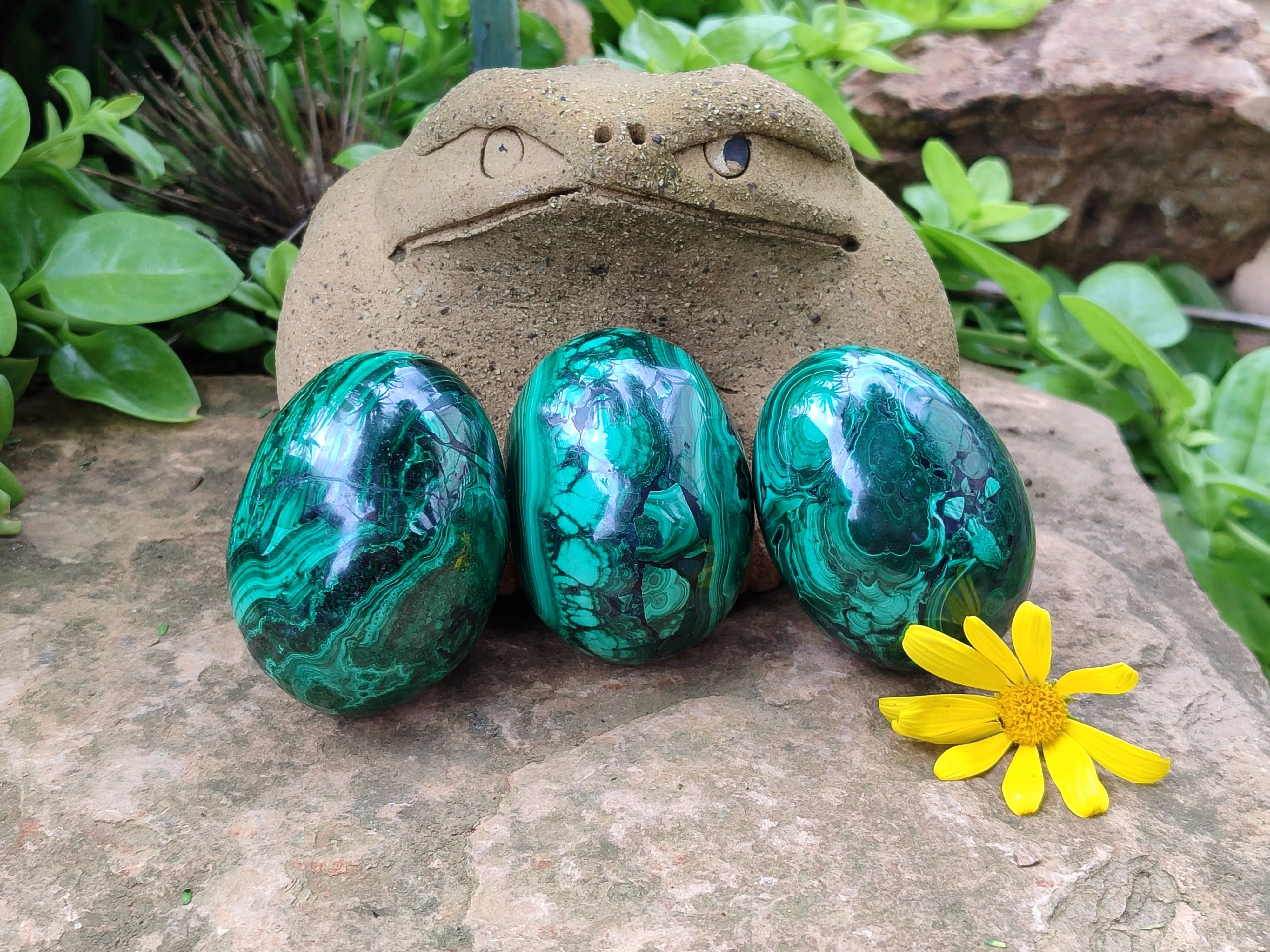 Polished Classic Large Solid Flower Banded Malachite Gemstone Eggs - Sold Per Item - From Congo