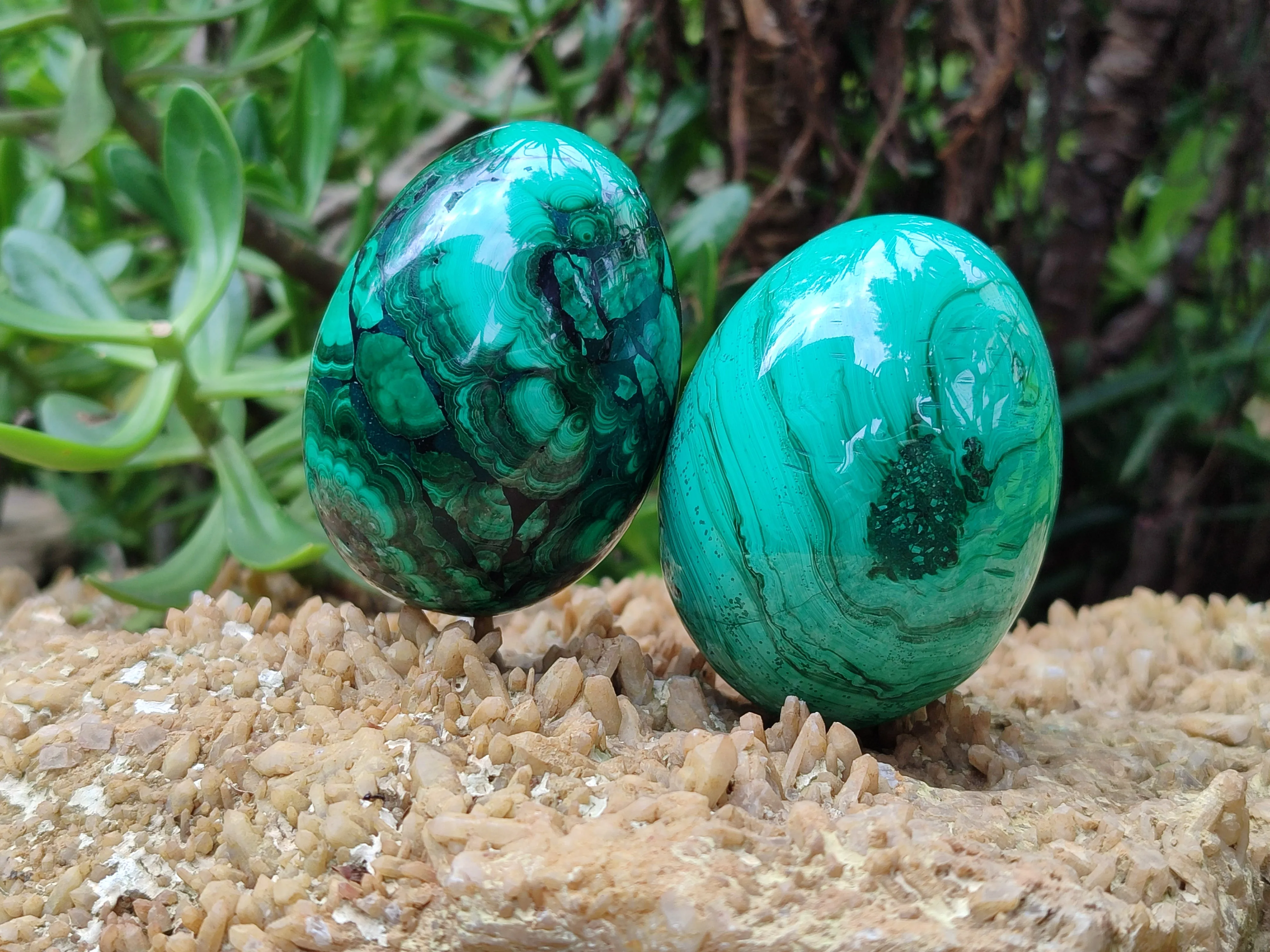 Polished Classic Large Solid Flower Banded Malachite Gemstone Eggs - Sold Per Item - From Congo