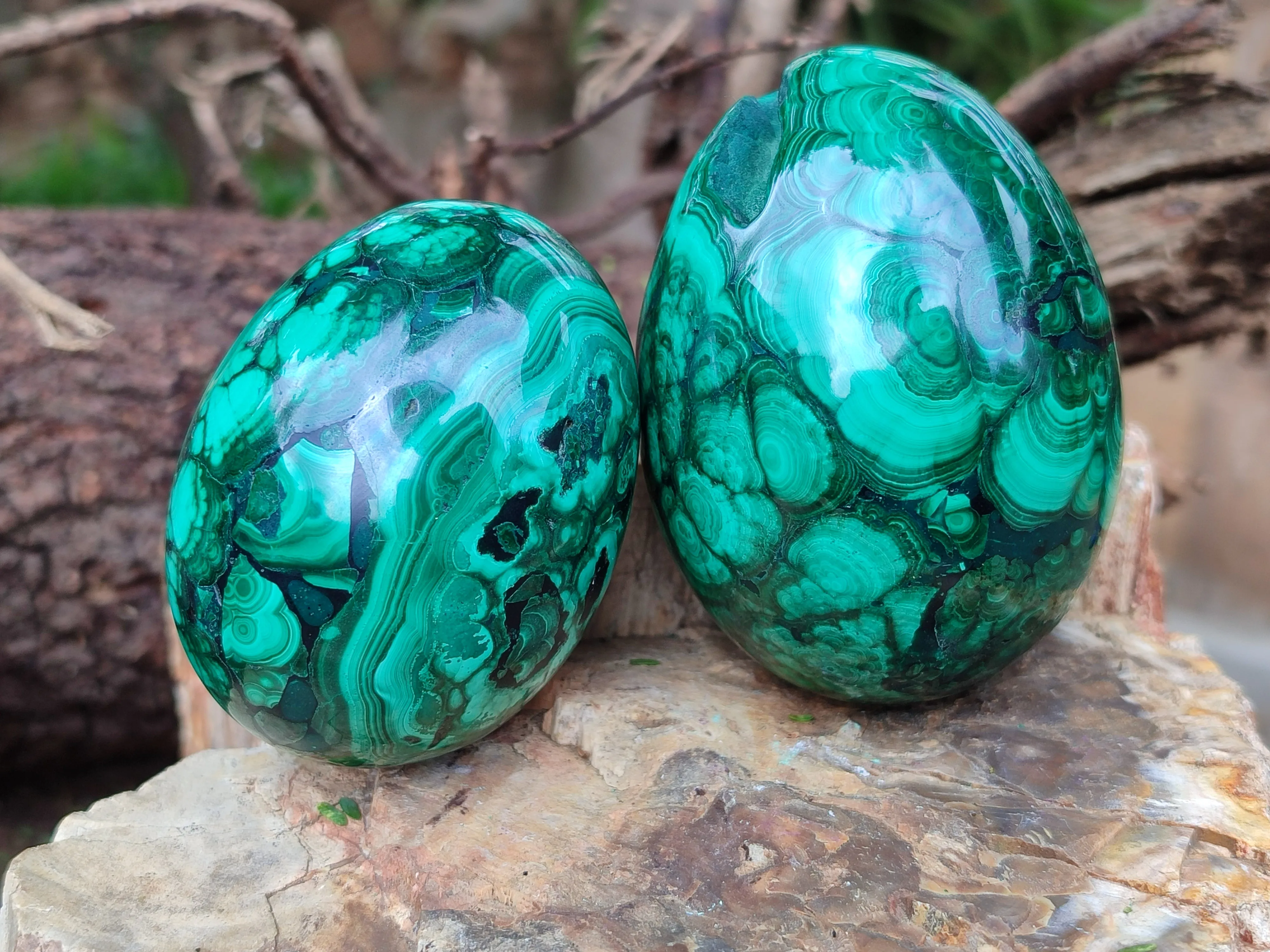 Polished Classic Large Solid Flower Banded Malachite Gemstone Eggs - Sold Per Item - From Congo