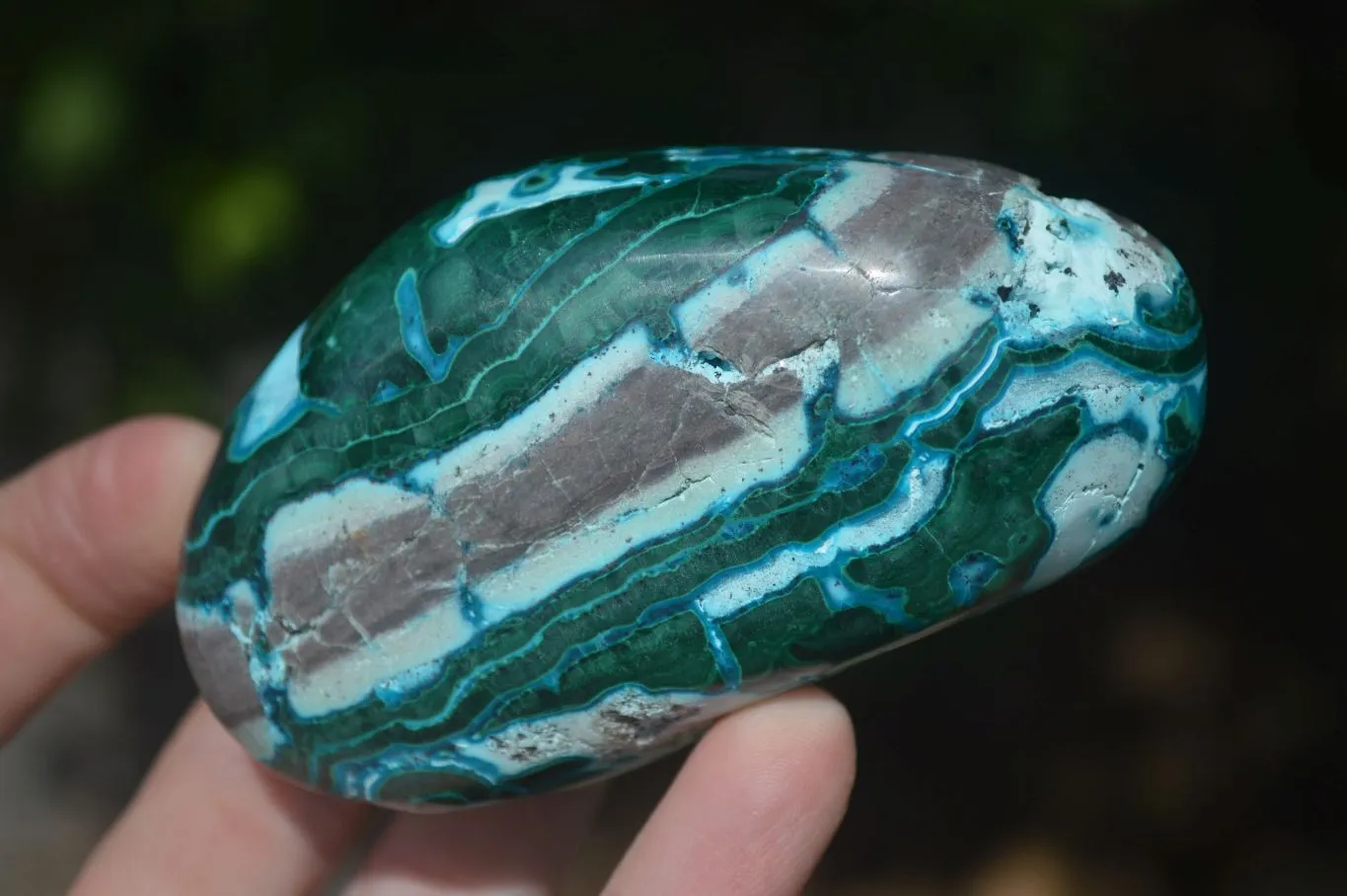 Polished Gorgeous Patterned Malacholla Free Forms  x 4 From Congo