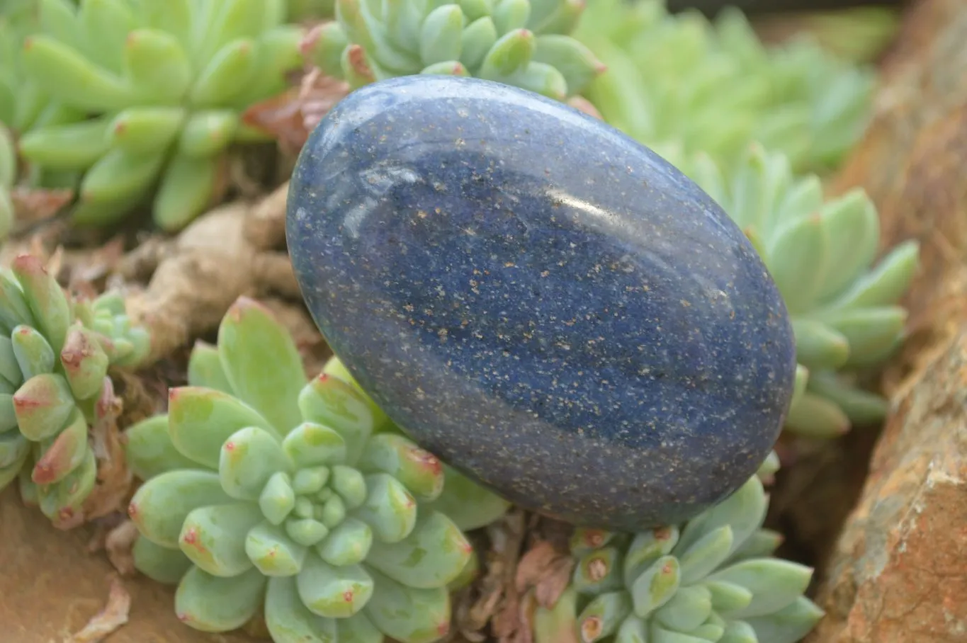 Polished Lazulite Palm Stones x 12 From Madagascar