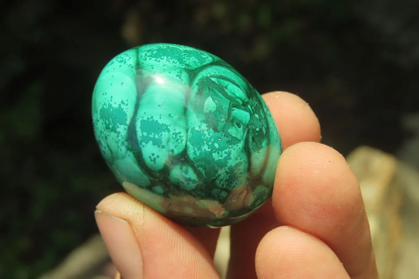 Polished Medium Solid Flower Banded Malachite Gemstone Eggs - Sold Per Item - From Congo