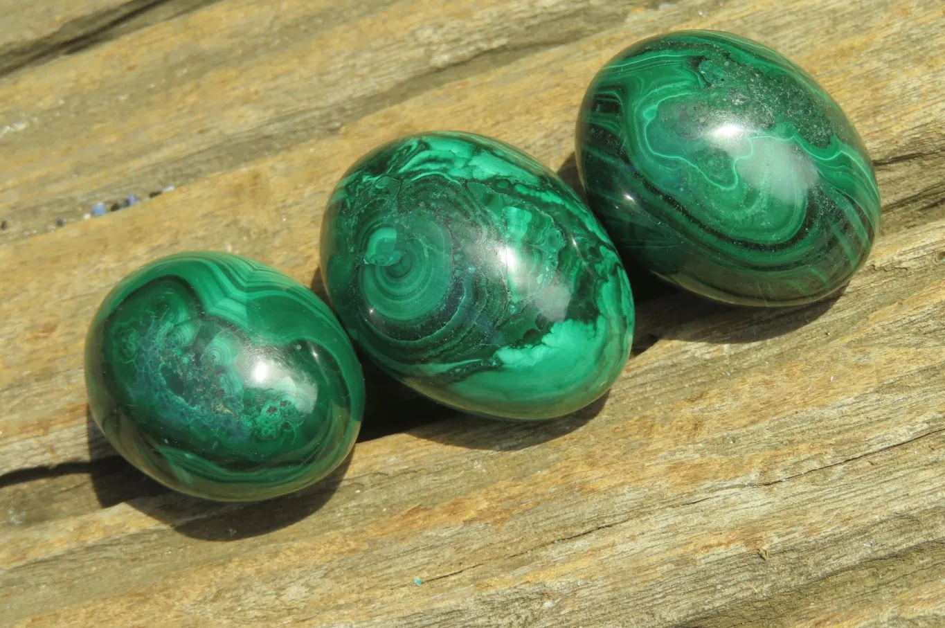 Polished Medium Solid Flower Banded Malachite Gemstone Eggs - Sold Per Item - From Congo