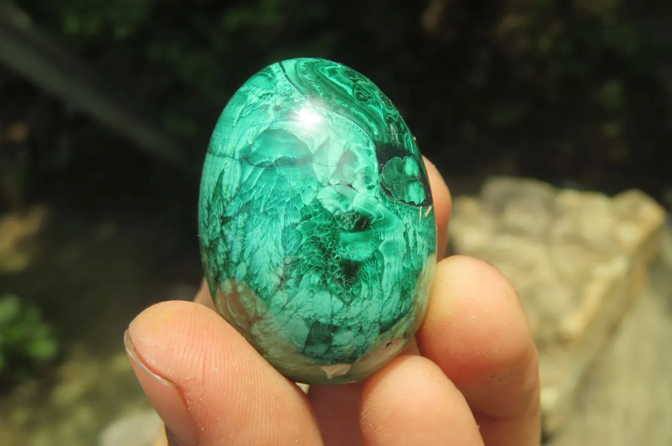 Polished Medium Solid Flower Banded Malachite Gemstone Eggs - Sold Per Item - From Congo