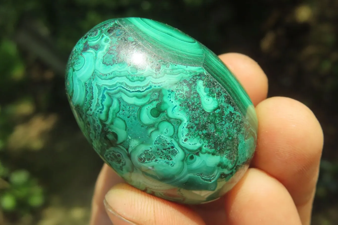 Polished Medium Solid Flower Banded Malachite Gemstone Eggs - Sold Per Item - From Congo