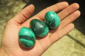 Polished Medium Solid Flower Banded Malachite Gemstone Eggs - Sold Per Item - From Congo