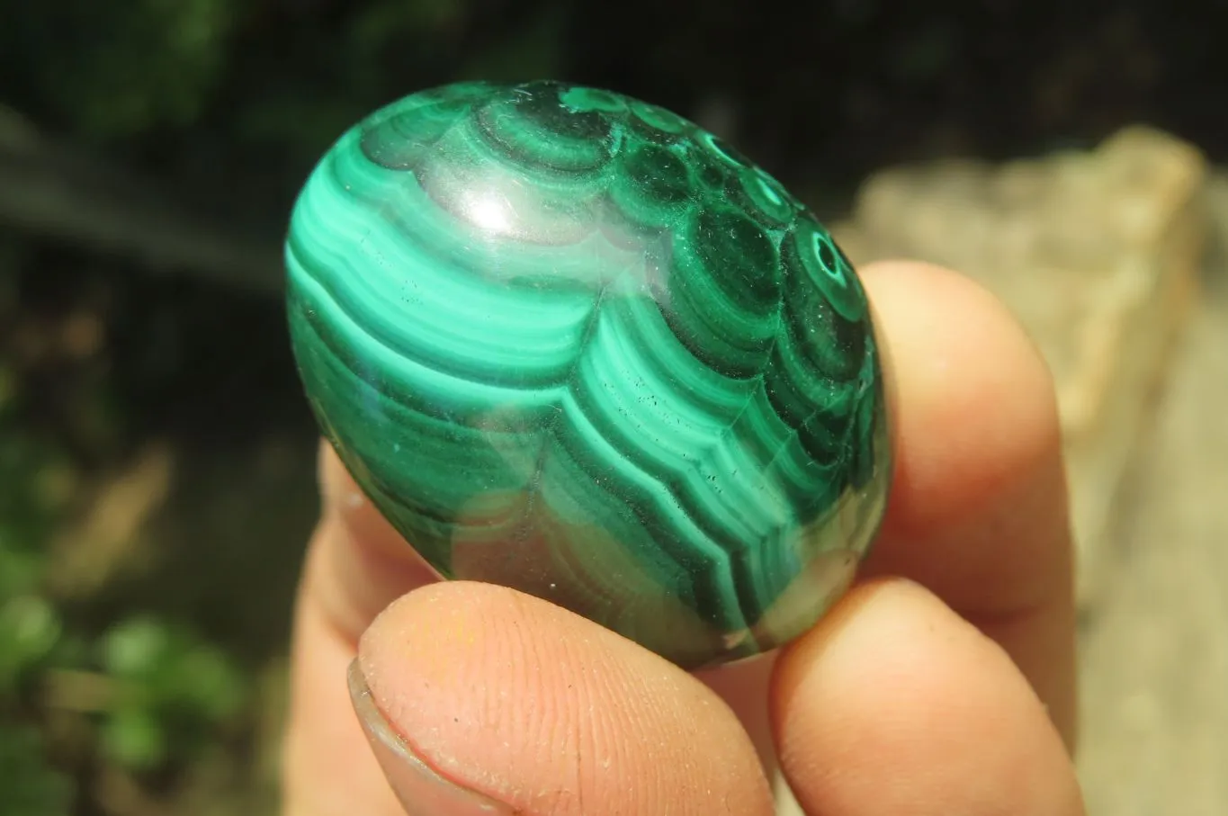 Polished Medium Solid Flower Banded Malachite Gemstone Eggs - Sold Per Item - From Congo