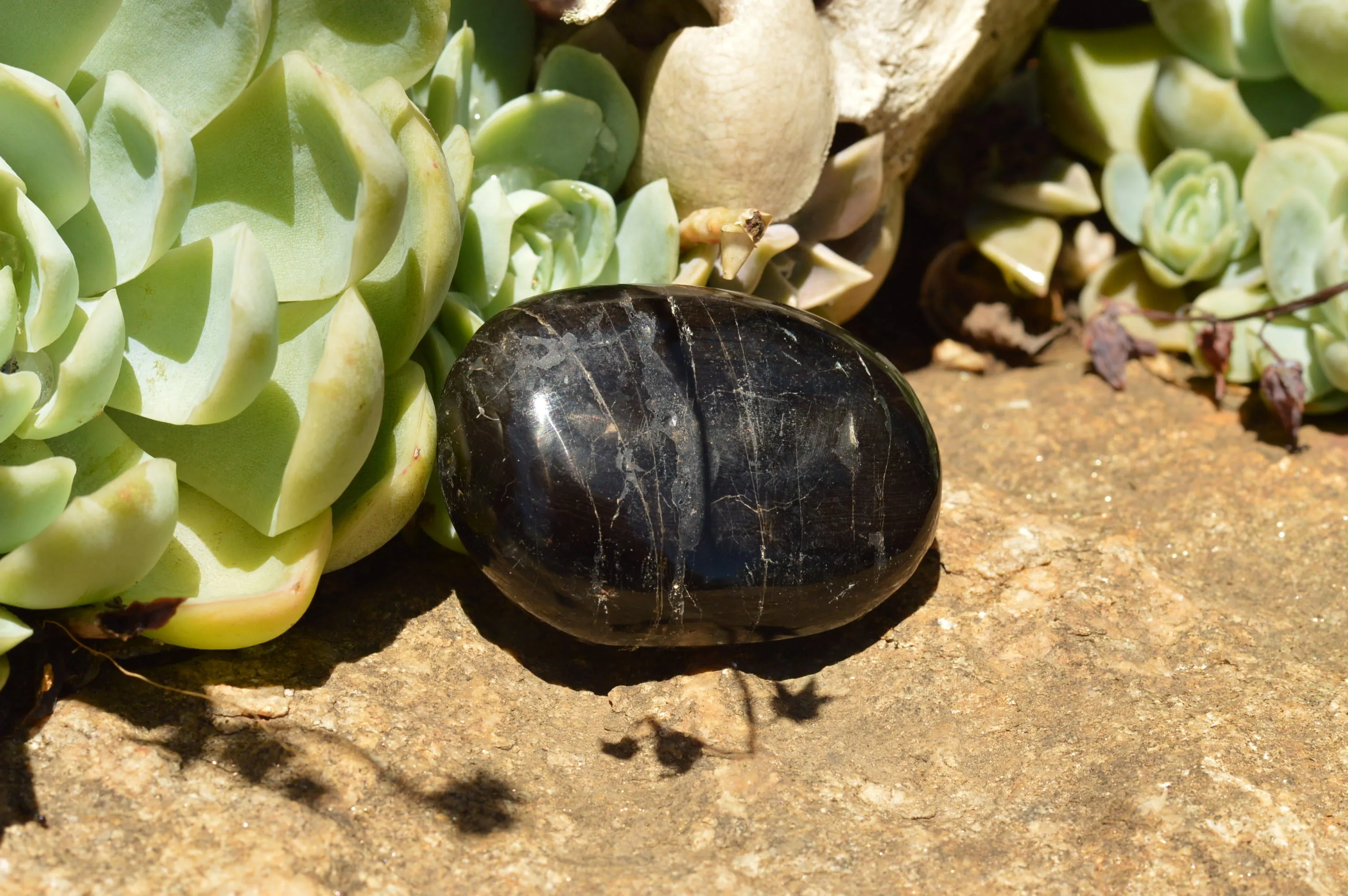 Polished Schorl Black Tourmaline Galet / Palm Stones x 12 From Madagascar