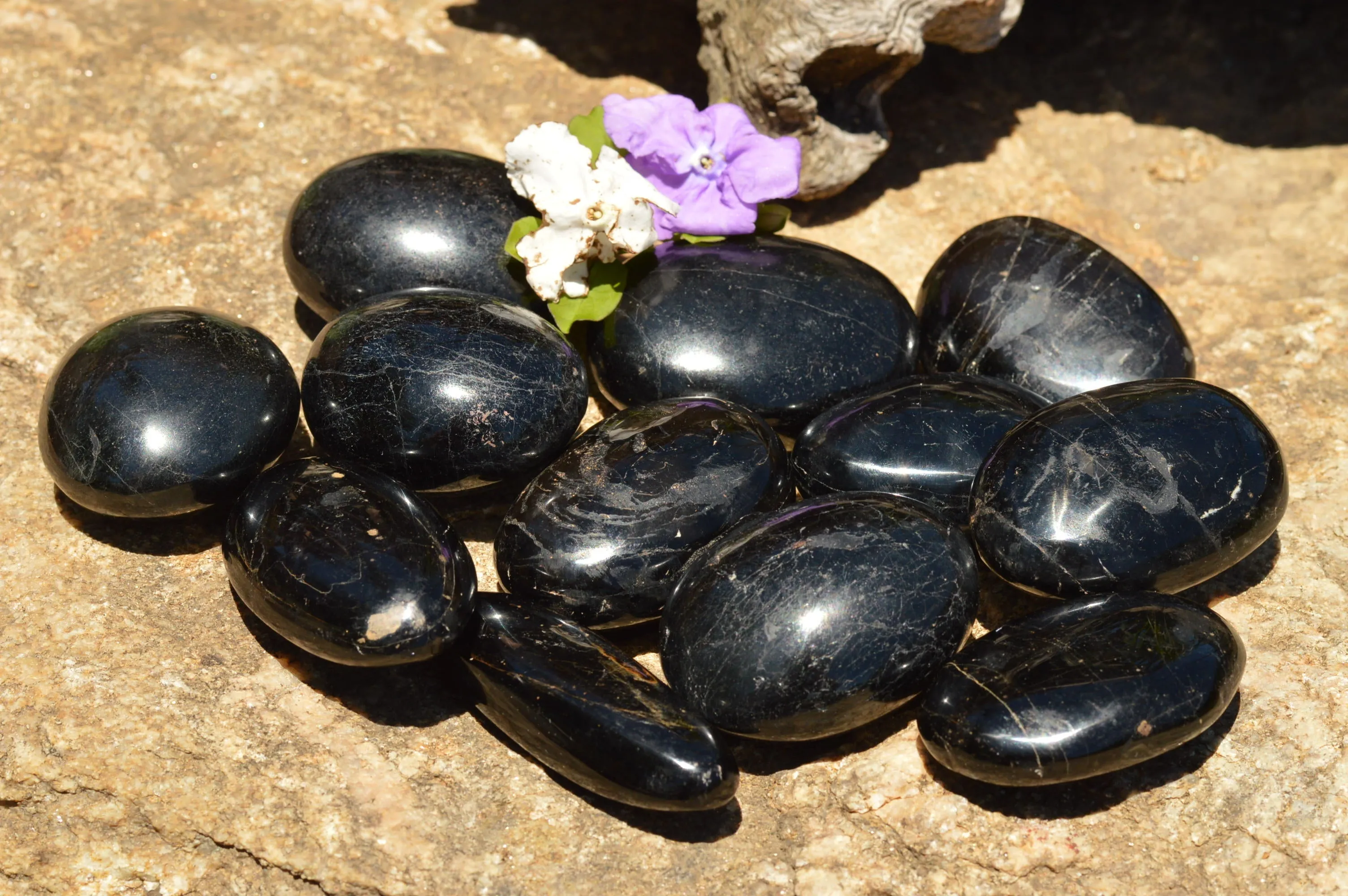 Polished Schorl Black Tourmaline Galet / Palm Stones x 12 From Madagascar