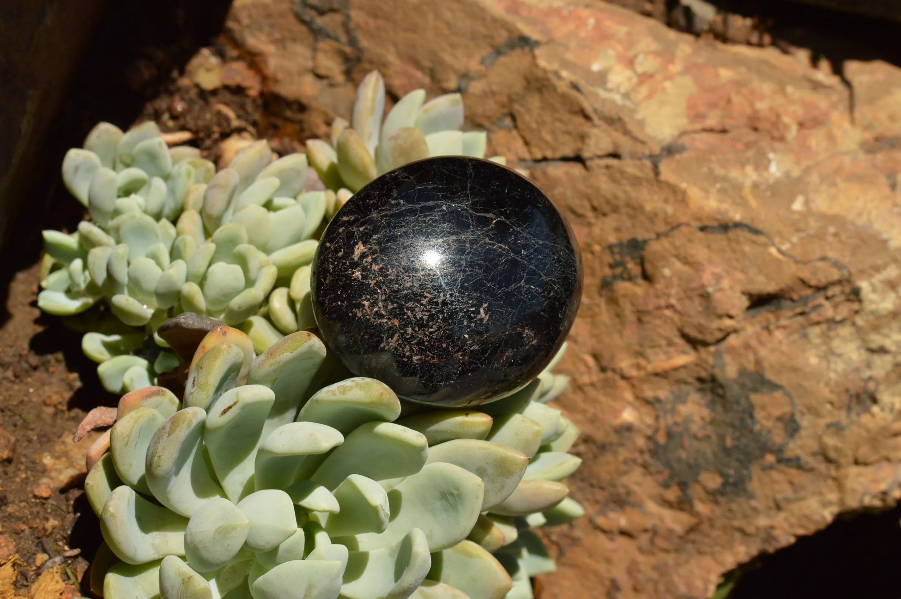 Polished Schorl Black Tourmaline Galet / Palm Stones x 12 From Madagascar