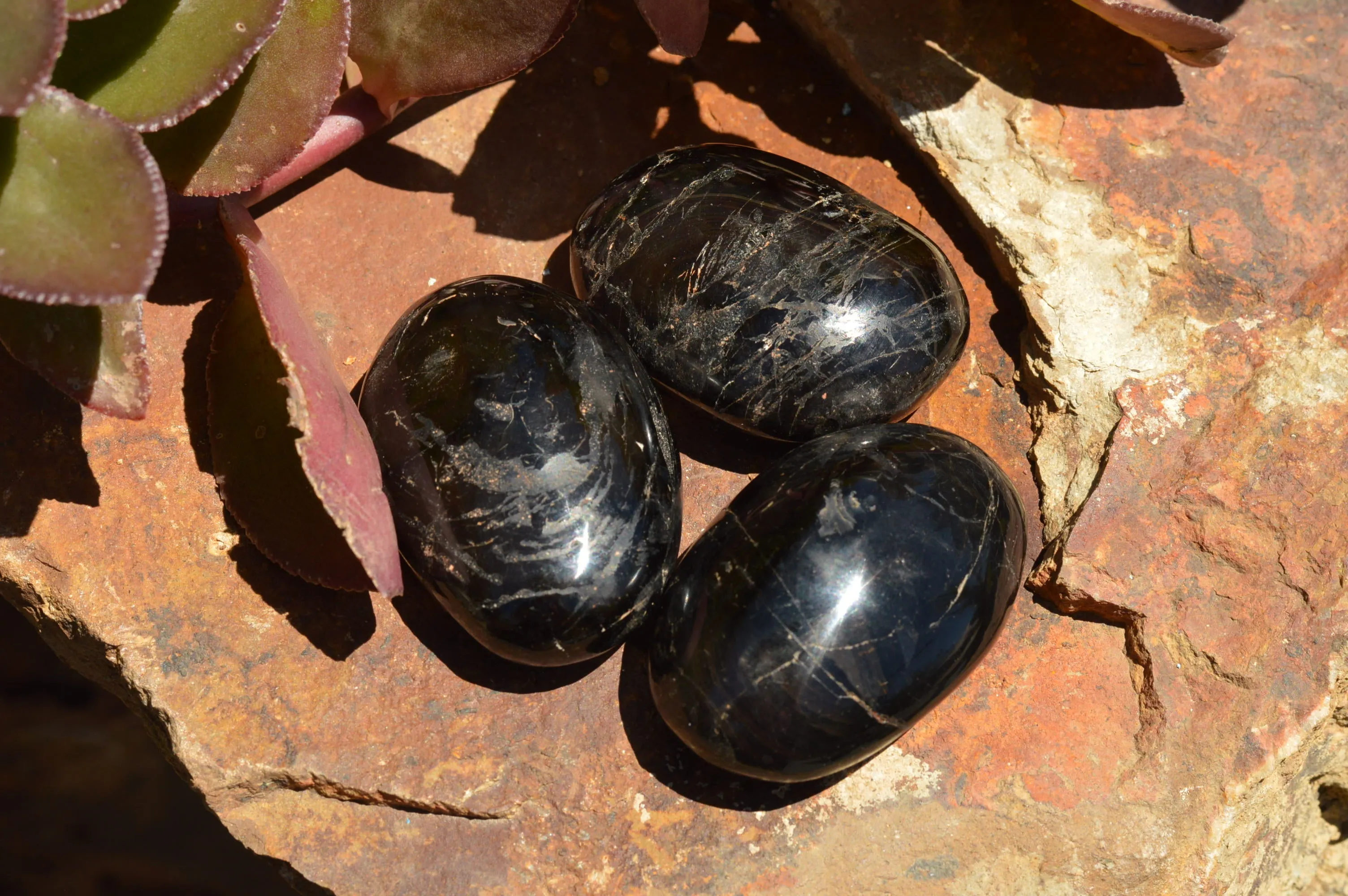 Polished Schorl Black Tourmaline Galet / Palm Stones x 12 From Madagascar