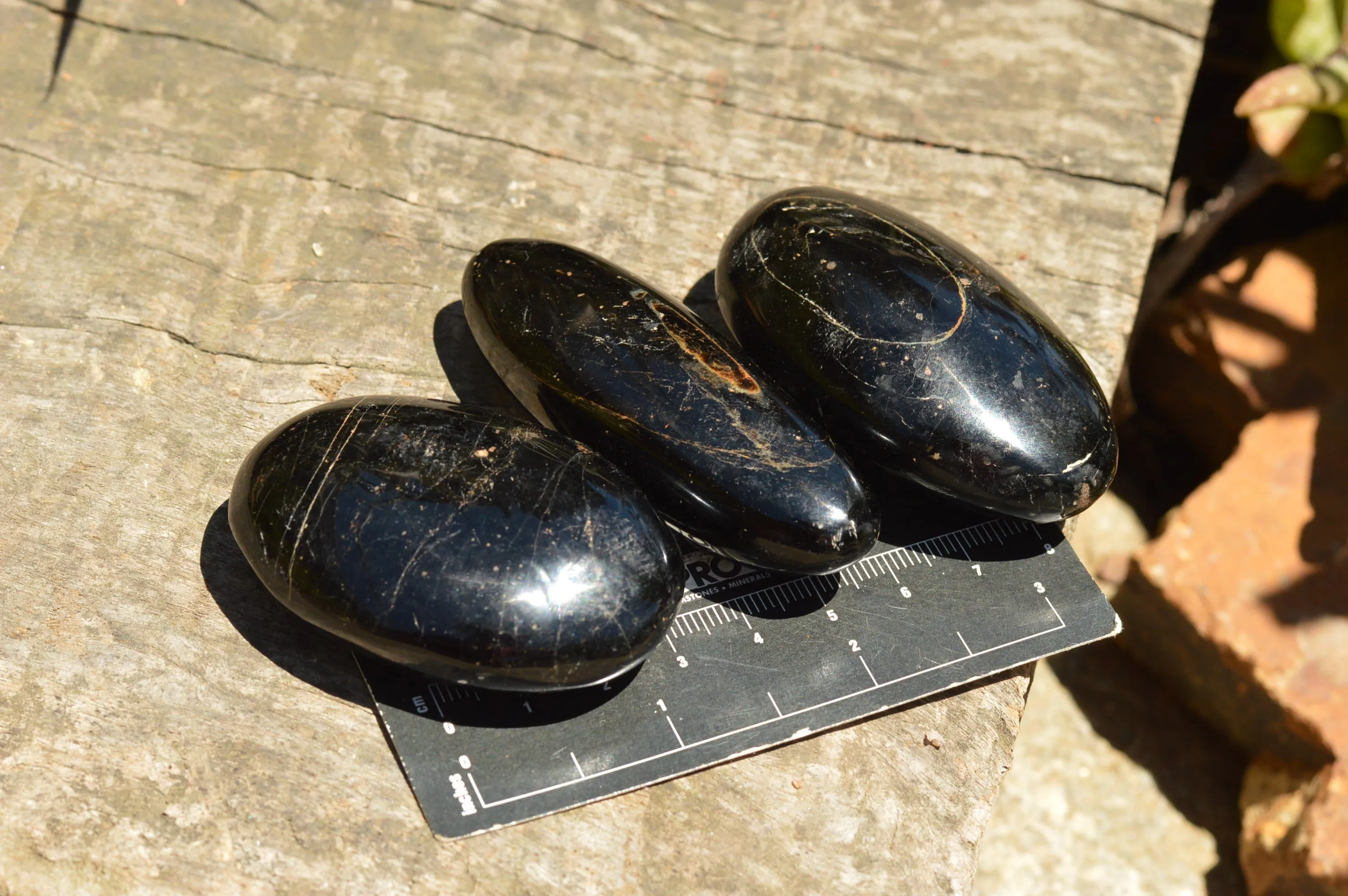 Polished Schorl Black Tourmaline Galet / Palm Stones x 12 From Madagascar