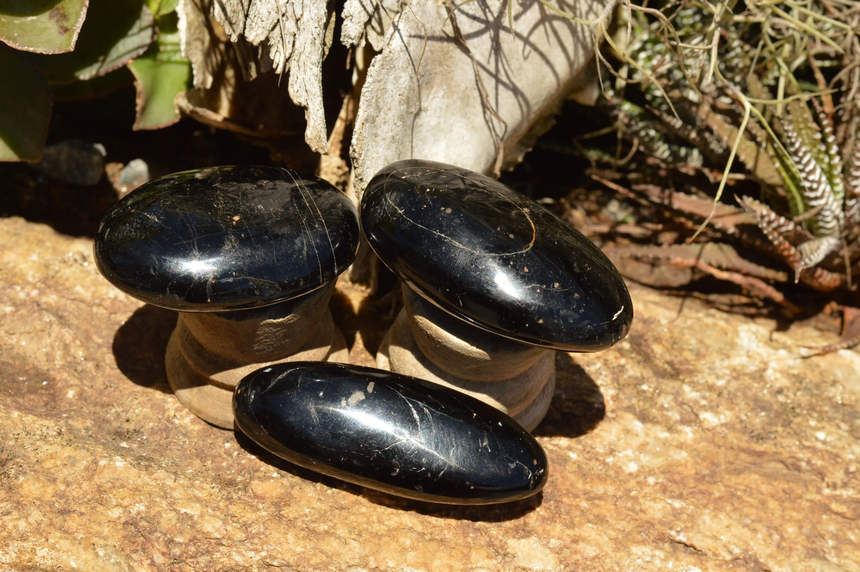 Polished Schorl Black Tourmaline Galet / Palm Stones x 12 From Madagascar