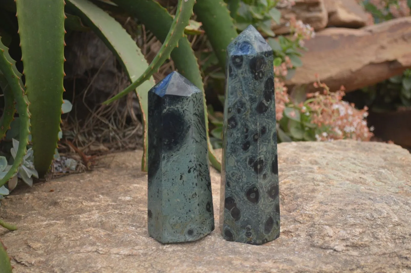 Polished Stromatolite Jasper Prisms x 2 From Madagascar