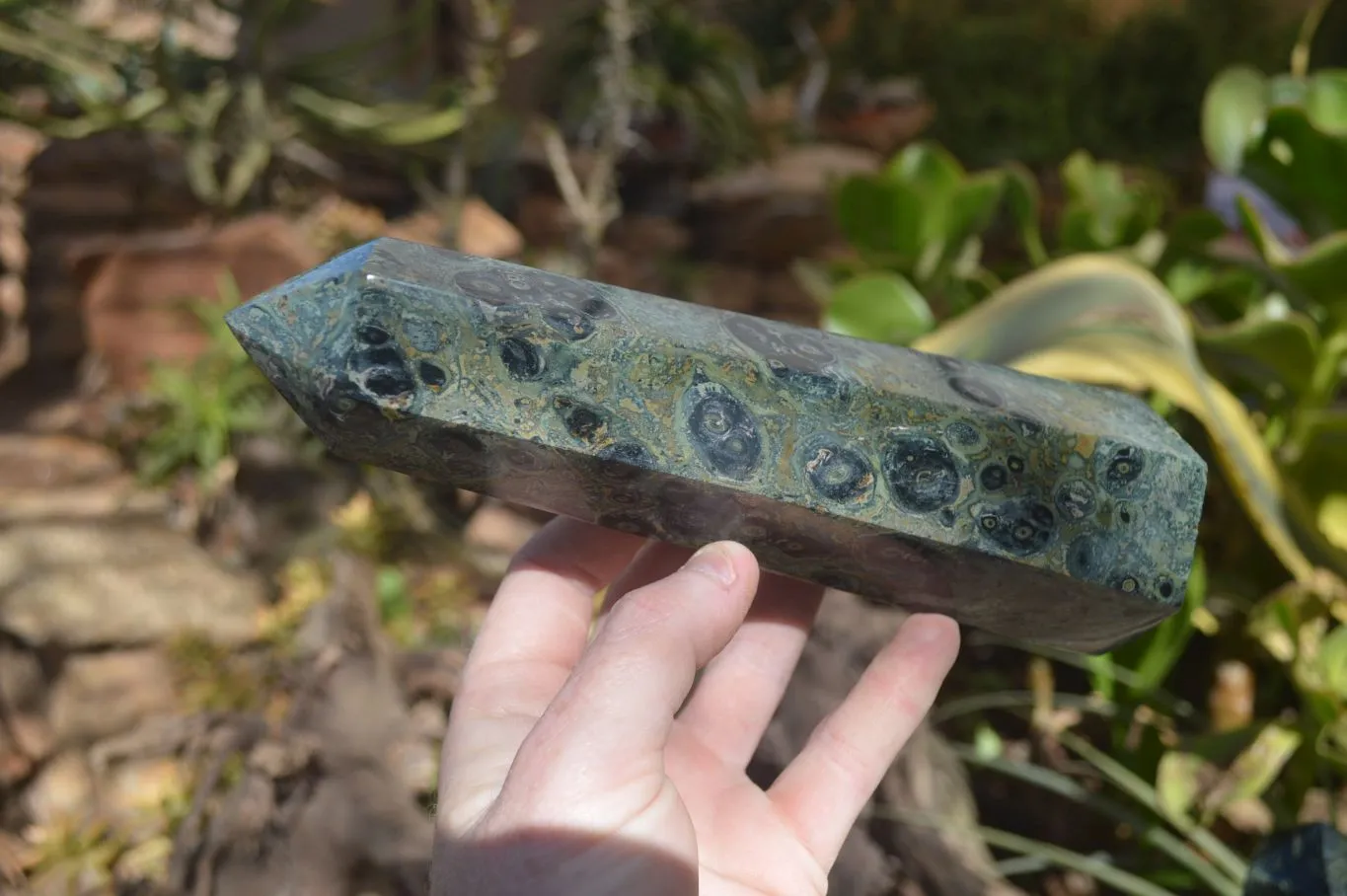 Polished Stromatolite Jasper Prisms x 2 From Madagascar