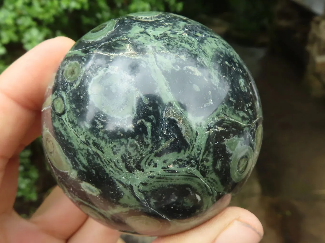 Polished Stromatolite / Kambamba Jasper Spheres  x 4 From Madagascar