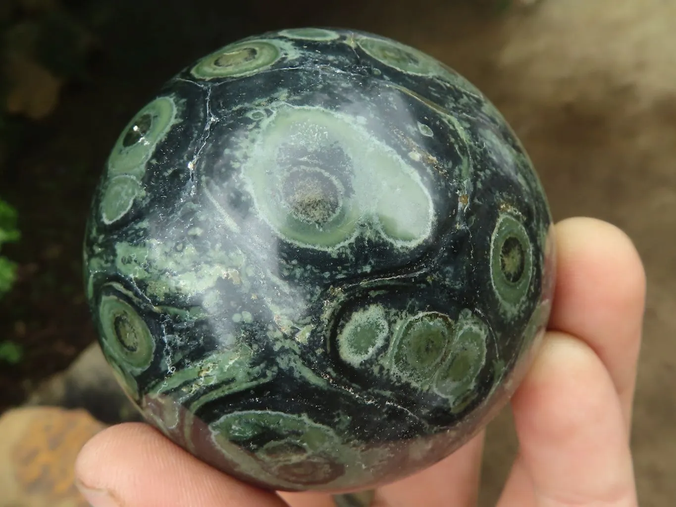 Polished Stromatolite / Kambamba Jasper Spheres  x 4 From Madagascar