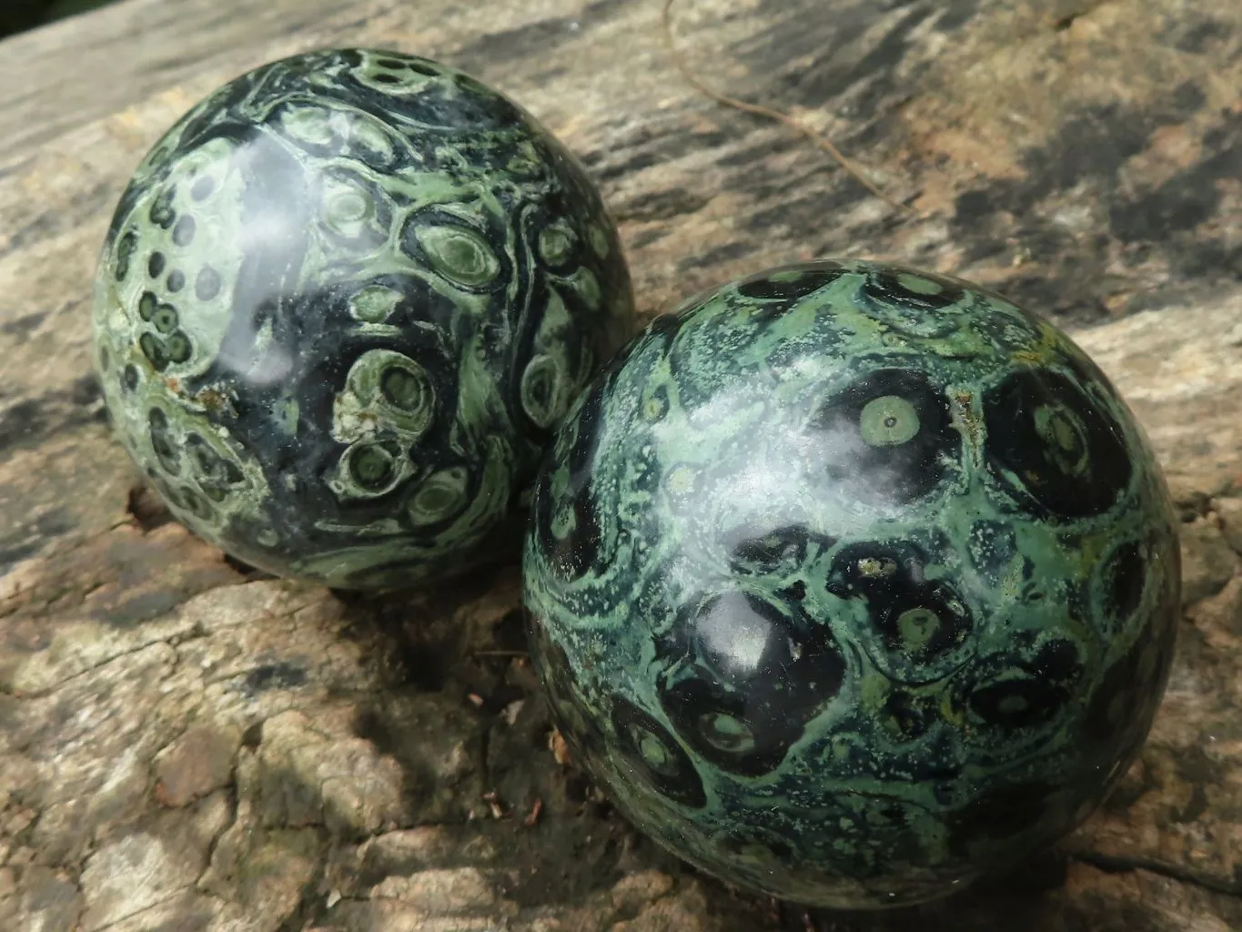 Polished Stromatolite / Kambamba Jasper Spheres  x 4 From Madagascar