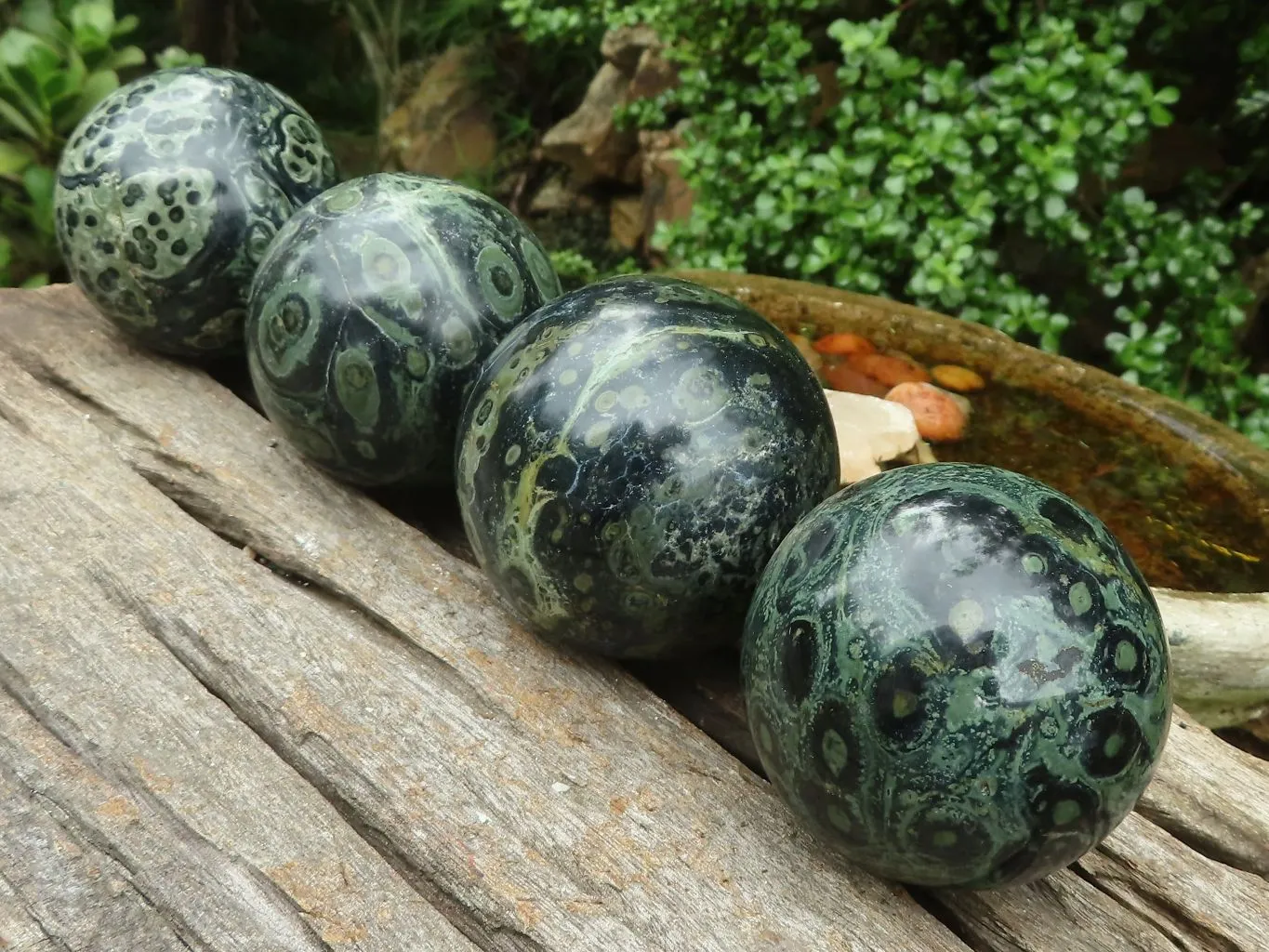 Polished Stromatolite / Kambamba Jasper Spheres  x 4 From Madagascar