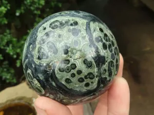 Polished Stromatolite / Kambamba Jasper Spheres  x 4 From Madagascar