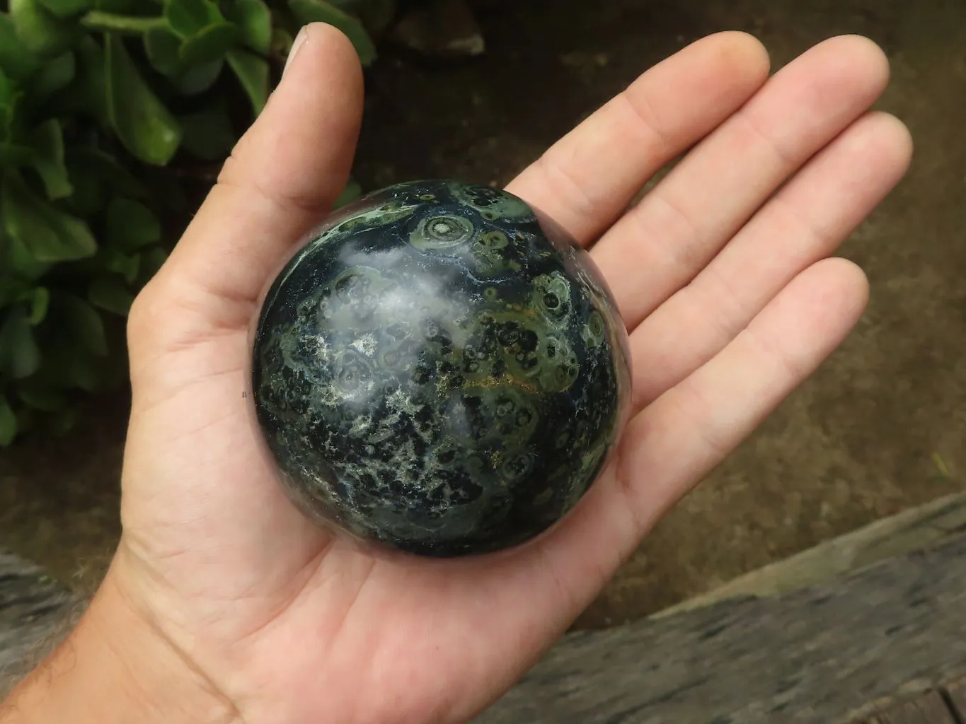 Polished Stromatolite / Kambamba Jasper Spheres  x 4 From Madagascar