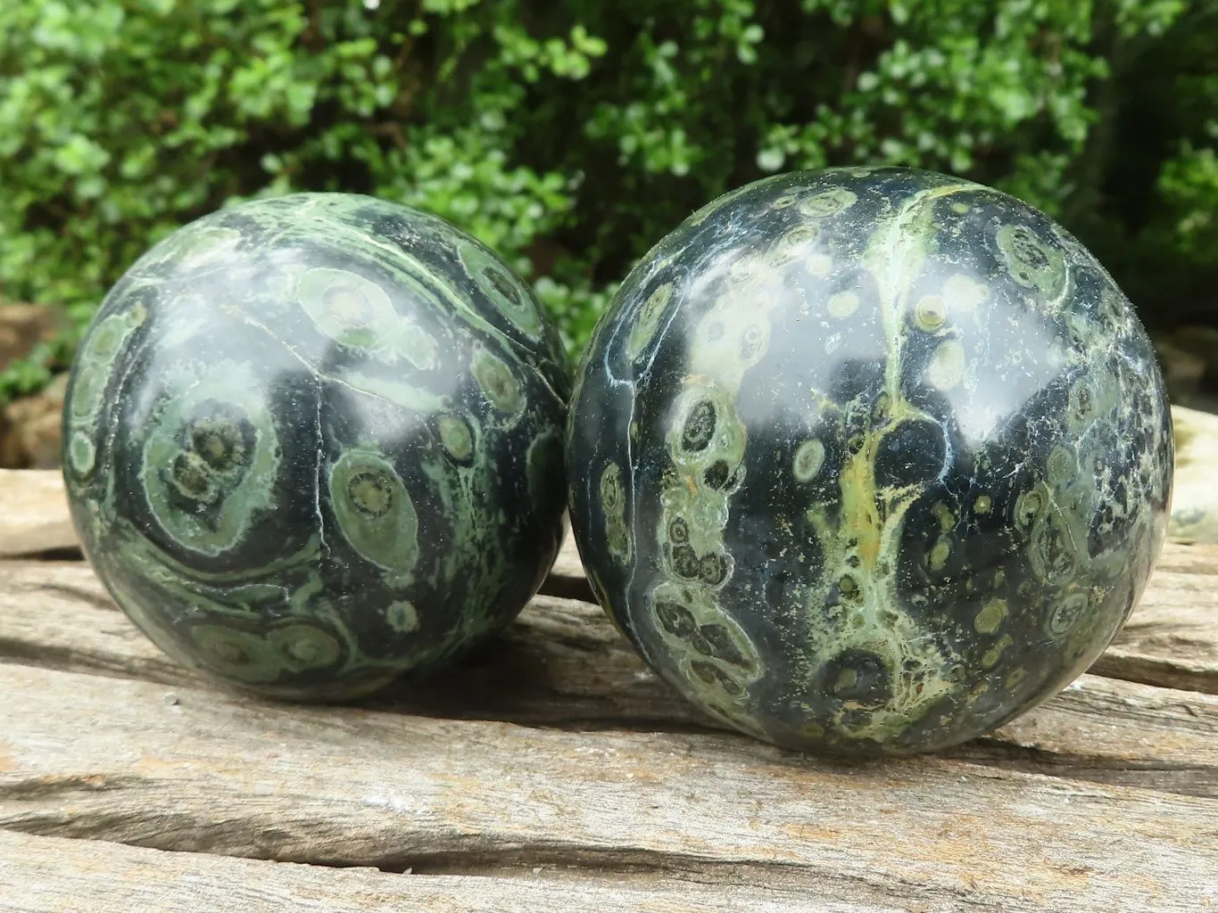 Polished Stromatolite / Kambamba Jasper Spheres  x 4 From Madagascar